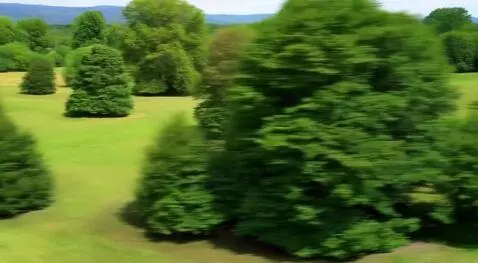 Hunyuan Video I2V video