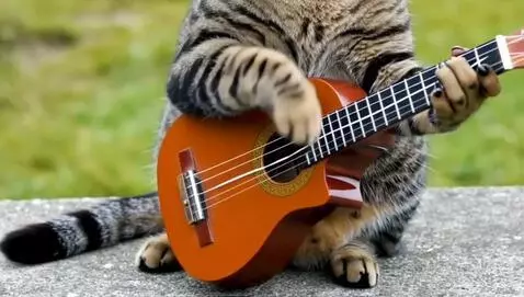 AI Video from prompt: cat playing cool music with guitar
