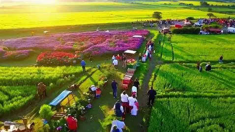 AI Video from prompt: Style & Atmosphere: Vibrant, cinematic, document