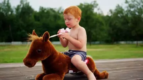 AI Video from prompt: A short ginger guy riding a toy horse with a big