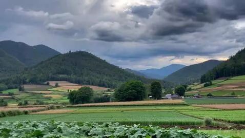 AI Video from prompt: ایک گاؤں میں ایک محنتی کسان رہتا تھا۔ وہ روز صبح