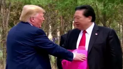 AI Video from prompt: donald trump president admiring his pregnant bel