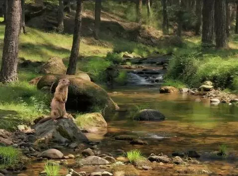 AI Video from prompt: The camera moves around its axis by ten degrees 