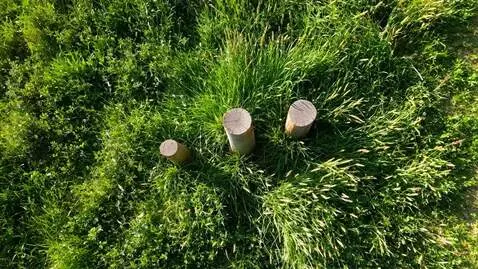 AI Video from prompt: The camera moves around its axis by ten degrees 