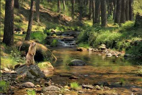 AI Video from prompt: The camera moves around its axis by ten degrees 