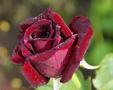 MiniMax Hailuo-02 (pro) video