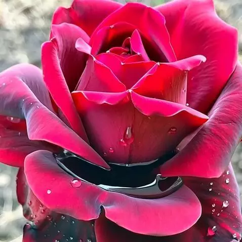 MiniMax Hailuo-02 (pro) video