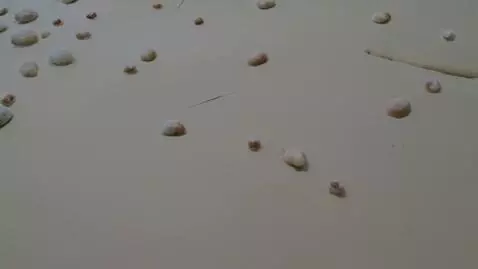 AI Video from prompt: Woman 18 years breasts grow big and lactate