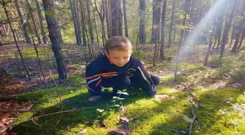 AI Video from prompt: Вырос большой гриб