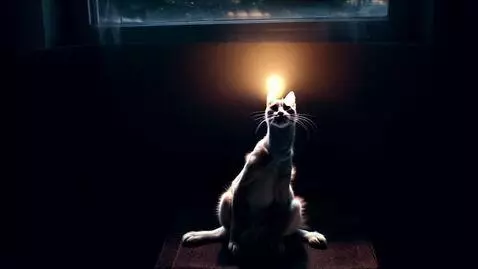 AI Video from prompt: a cat become a woman