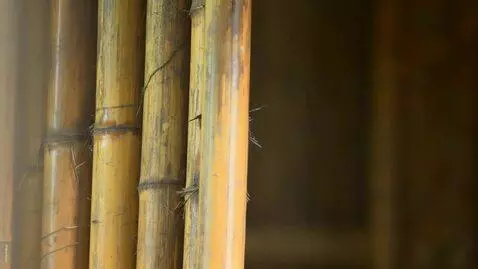 AI Video from prompt: A realistic panda waking up inside a cozy bamboo
