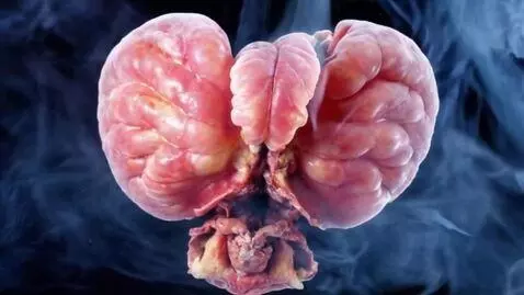 AI Video from prompt: Жило-было легкое, чистое и прекрасное, как утрен