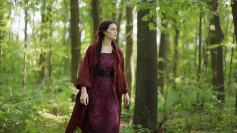 AI Video from prompt: девушка идет по лесу