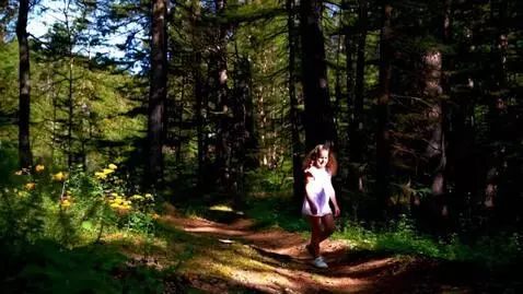 AI Video from prompt: девушка идет по лесу