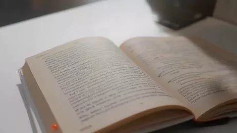 AI Video from prompt: A book opens , and lessons contain topics like d