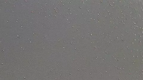 AI Video from prompt: https://open.spotify.com/track/6PISdHJwIxovv4j8q