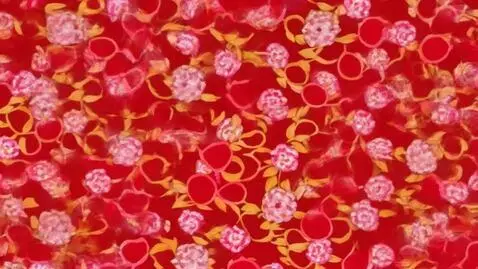 Kling 1.0 (standard) video