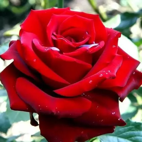 MiniMax Hailuo-02 (pro) video