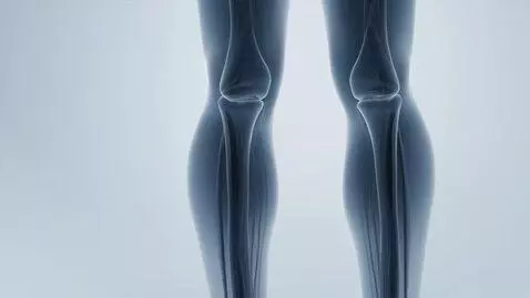 AI Video from prompt: Create a high-quality 3D animation of the human 