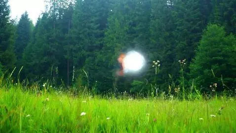 AI Video from prompt: Two beautiful butterflies dancing in the air, a 