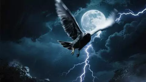 AI Video from prompt: Night, moon, Bird anxiously flies through thunde