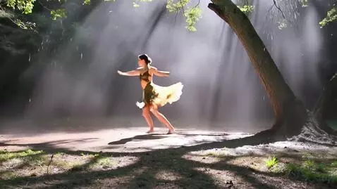 AI Video from prompt: A dancer in a dress made of leaves circles in a 