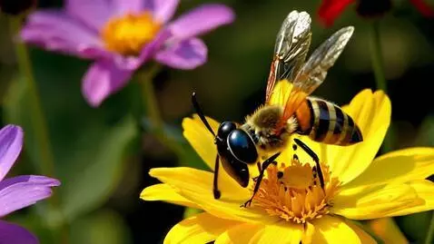 AI Video from prompt: A big-headed, goofy-looking fly is buzzing aroun