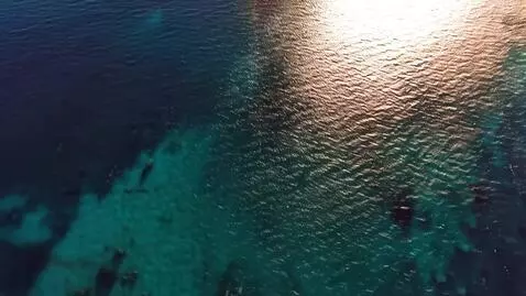 AI Video from prompt: Bird’s eye view of The surface of the ocean, ske