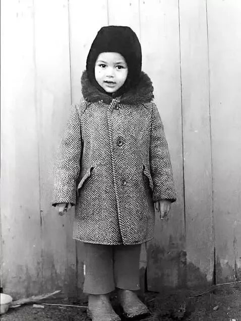 Luma Dream Machine Ray2 video