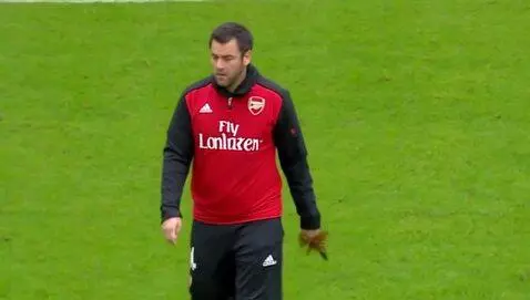 AI Video from prompt: Arsenal London  player swatted a wasp with his h