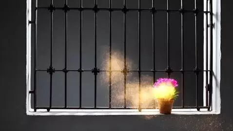 AI Video from prompt: A boy in a room with bars instead of windows bre