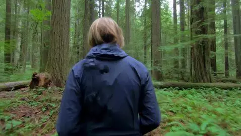 AI Video from prompt: D3M0N DANz pov of vlog in a forest.