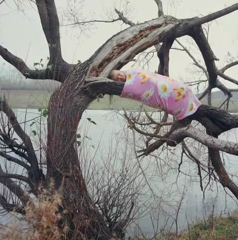 AI Video from prompt: A man is sleeping on a thick tree branch covered