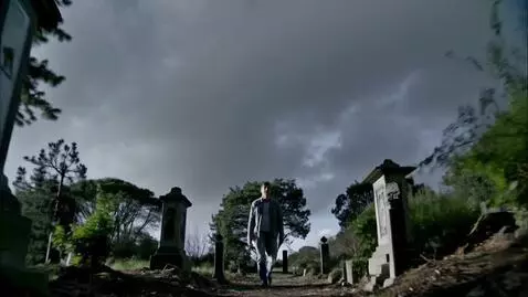 AI Video from prompt: парень идет по кладбищу ворон летит клюет его он