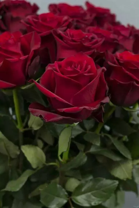 MiniMax Hailuo-02 (pro) video