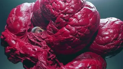 AI Video from prompt: The huge red symbiote blob Covers the human insi