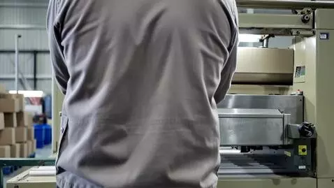 AI Video from prompt: an employee with his back turned working on a ca