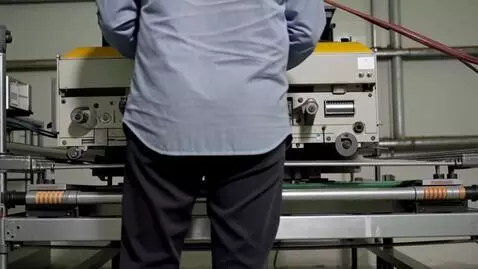 AI Video from prompt: an employee with his back turned working on a ca