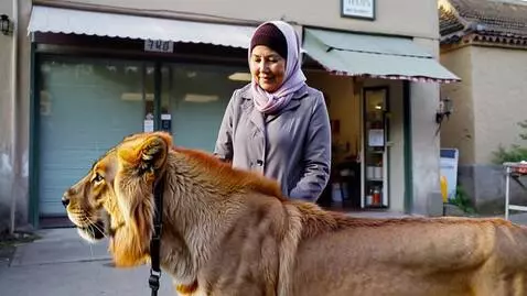 AI Video from prompt: Бабушка в пальто и платке стоит у входа в неболь