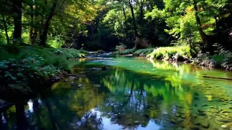 AI Video from prompt: Stream with fish