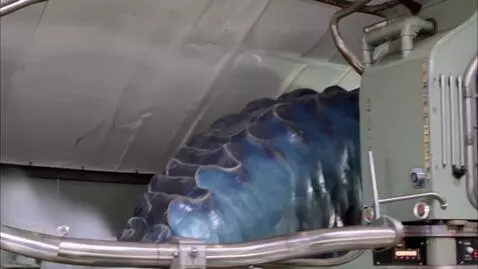 AI Video from prompt: "Il Treno del Mostro Marino