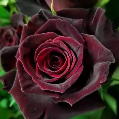 MiniMax Hailuo-02 (pro) video