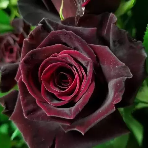 MiniMax Hailuo-02 (pro) video