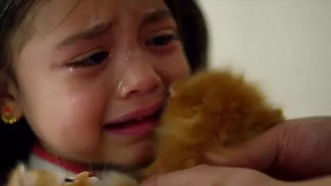 AI Video from prompt: A highly detailed cinematic vertical video (9:16