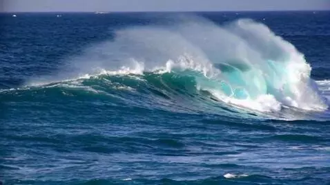 AI Video from prompt: wuthering waves