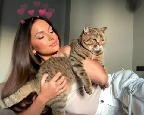 AI Video from prompt: ДЕВУШКА НЕ ДВИГАЕТСЯ,  КОТ НЕ ДВИГАЕТСЯ, СТОП КА