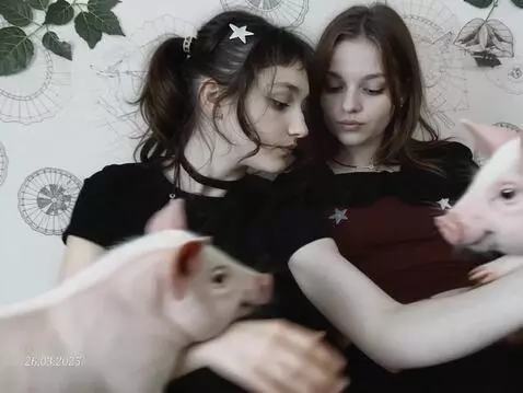 AI Video from prompt: make a video where a lot of pigs appear between 