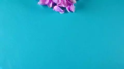 AI Video from prompt: На бирюзовом фоне падают сиреневые лепестки
