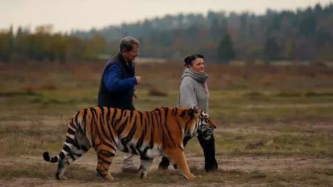 AI Video from prompt: Бабушка бегает с тигром и пугает прохожих