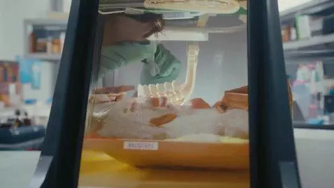 AI Video from prompt: PLS CREAT DENTAL HOSPITAL ADVERTISING 20-25 SECO